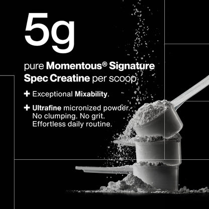 Creatine - 90 Servings